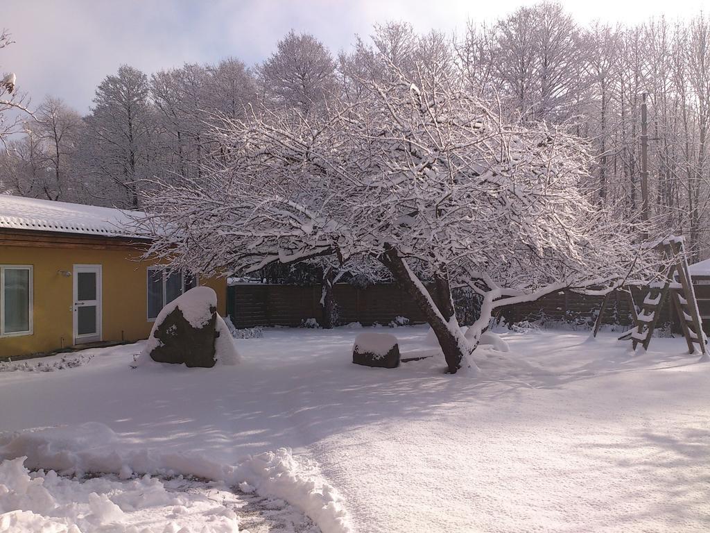 Ferienwohnungen Vidoni Боденсдорф Экстерьер фото